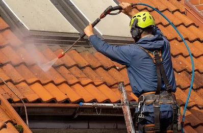 Démoussage et hydrofuge de toiture à Letia